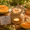 Fondant parfumé Melon | Cire végétale & Parfum de Grasse | Aleks Senses