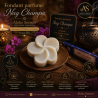 Fondant parfumé Nag Champa | Cire végétale & Parfum de Grasse | Aleks Senses