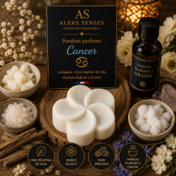 Fondant parfumé Cancer | Cire végétale & Parfum de Grasse | Aleks Senses