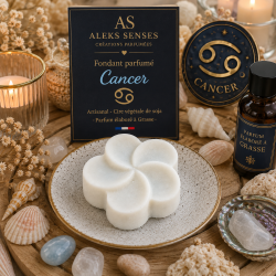 Fondant parfumé Cancer | Cire végétale & Parfum de Grasse | Aleks Senses