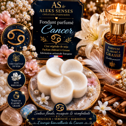 Fondant parfumé Cancer | Cire végétale & Parfum de Grasse | Aleks Senses