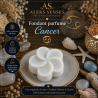 Fondant parfumé Cancer | Cire végétale & Parfum de Grasse | Aleks Senses