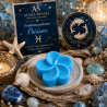 Fondant parfumé Poisson | Cire végétale & Parfum de Grasse | Aleks Senses