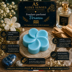 Fondant parfumé Verseau | Cire végétale & Parfum de Grasse | Aleks Senses
