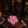 Fondant parfumé Scorpion | Cire végétale & Parfum de Grasse | Aleks Senses