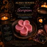 Fondant parfumé Scorpion | Cire végétale & Parfum de Grasse | Aleks Senses
