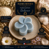 Fondant parfumé Balance | Cire végétale & Parfum de Grasse | Aleks Senses