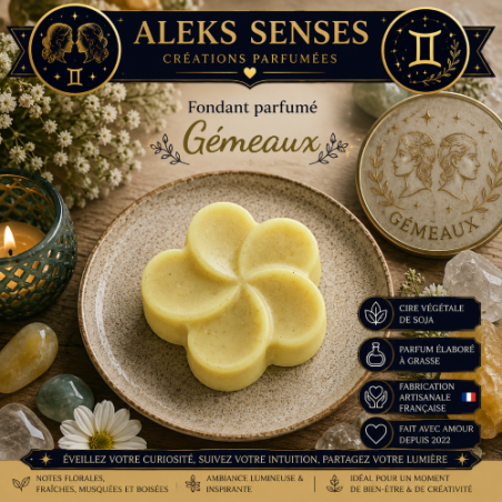 Fondant parfumé Gémeaux | Cire végétale & Parfum de Grasse | Aleks Senses