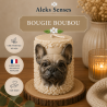 Bougie Bouledogue Français Personnalisable en Cire de Soja | Aleks Senses