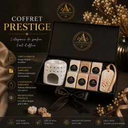 Coffret Prestige | Brûle-parfum, 10 fondants & suspension | Aleks Senses