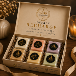 Coffret Recharge | 6 fondants parfumés artisanaux | Aleks Senses