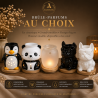 Coffret Luxe | Grand brûle-parfum, 15 fondants & suspension | Aleks Senses