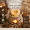Fondant parfumé Bois de Gaïac | Fondant artisanal boisé | Aleks Senses