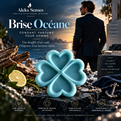 Fondant parfumé Brise Océane | Fondant artisanal parfum de Grasse | Aleks Senses