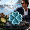 Fondant parfumé Brise Océane | Fondant artisanal parfum de Grasse | Aleks Senses