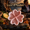 Fondant parfumé Terre d'Ambre | Fondant artisanal boisé et ambré | Aleks Senses