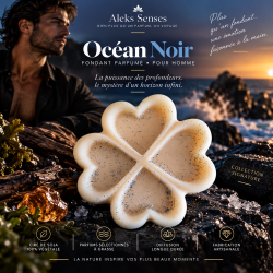 Fondant parfumé Océan Noir | Fondant artisanal marin et boisé | Aleks Senses