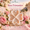 Fondant parfumé Rosée Printanière | Fondant artisanal floral et fruité | Aleks Senses